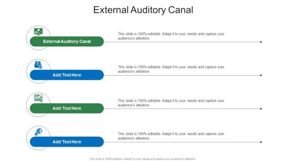 External Auditory Canal In Powerpoint And Google Slides Cpb