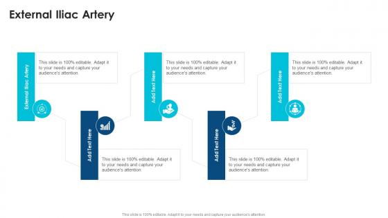 External Iliac Artery In Powerpoint And Google Slides Cpb