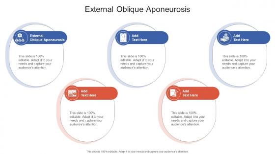 External Oblique Aponeurosis In Powerpoint And Google Slides Cpb