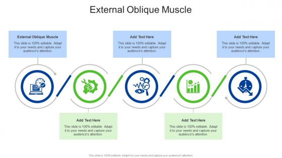 External Oblique Muscle In Powerpoint And Google Slides Cpb