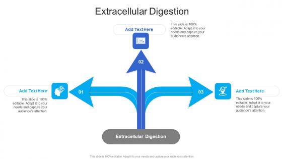 Extracellular Digestion In Powerpoint And Google Slides Cpb