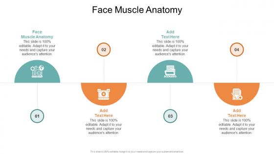 Face Muscle Anatomy In Powerpoint And Google Slides Cpb