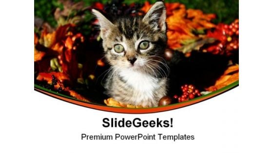 Fall Kitty Animals PowerPoint Themes And PowerPoint Slides 0511