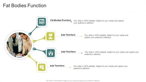 Fat Bodies Function In Powerpoint And Google Slides Cpb