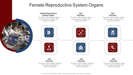 Female Reproductive System Organs In Powerpoint And Google Slides Cpb