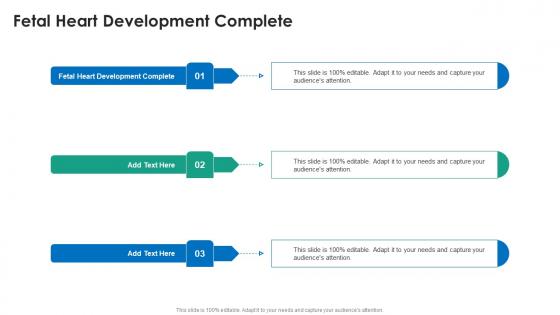 Fetal Heart Development Complete In Powerpoint And Google Slides Cpb