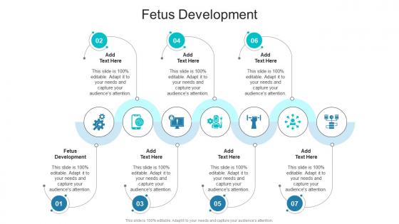 Fetus Development In Powerpoint And Google Slides Cpb