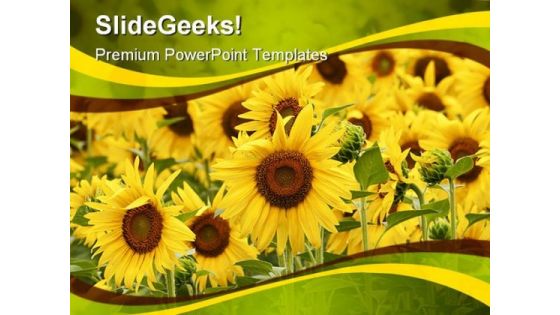 Field Of Sunflowers Beauty PowerPoint Templates And PowerPoint Backgrounds 0311