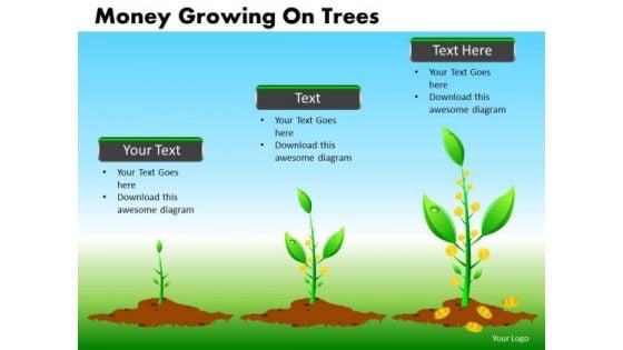 Financial Investment Growth Concept PowerPoint Templates Editable Ppt Slides