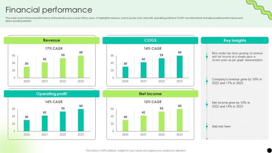 Financial Performance Digital Payment Platform Pitch Deck