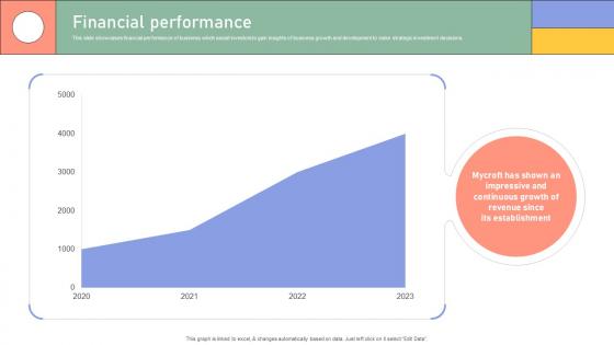 Financial Performance Enterprise Software Application Investor Funding Elevator Pitch Deck