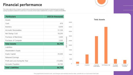 Financial Performance Financial Management Software Capital Raising Deck Graphics Pdf