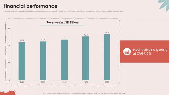 Financial Performance Personal Care Company Investor Ppt Sample