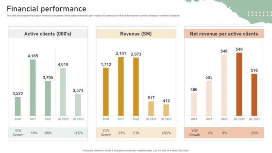 Financial Performance Personal Styling Service Investor Funding Elevator Pitch Deck