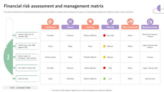 Financial Risk Assessment And Management Matrix Company Risk Monitoring And Mitigation DTE SS V