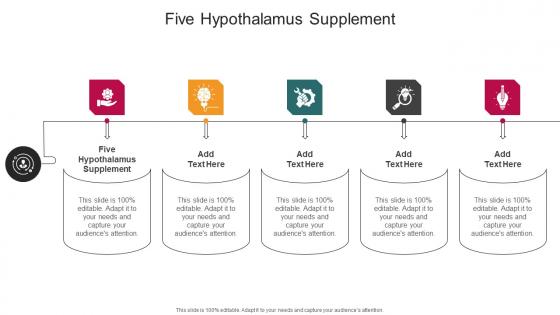 Five Hypothalamus Supplement In Powerpoint And Google Slides Cpb