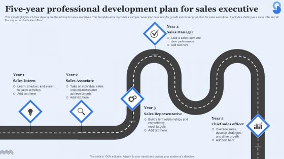 Five Year Professional Development Plan For Sales Executive Themes Pdf