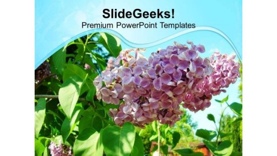 Floral Beauty Of Nature PowerPoint Templates Ppt Backgrounds For Slides 0613 Floral Beauty Of Nature PowerPoint Templates Ppt Backgrounds For Slides 0613