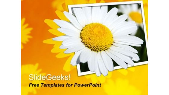 Beautiful Flower PowerPoint Template