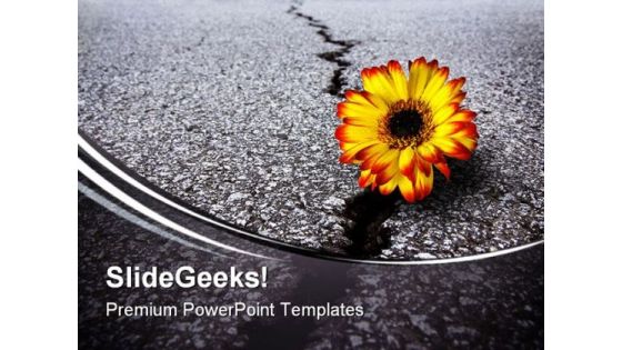 Flower In Asphalt Metaphor PowerPoint Templates And PowerPoint Backgrounds 0611