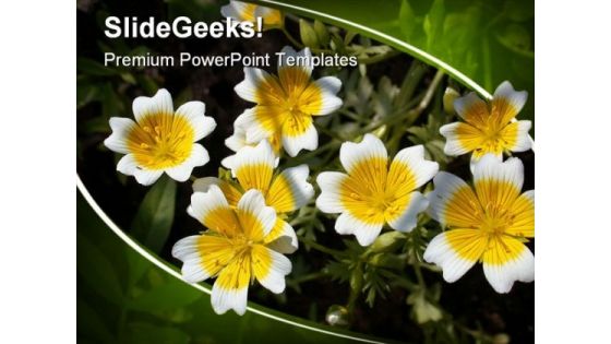 Flower Nature PowerPoint Templates And PowerPoint Backgrounds 0311