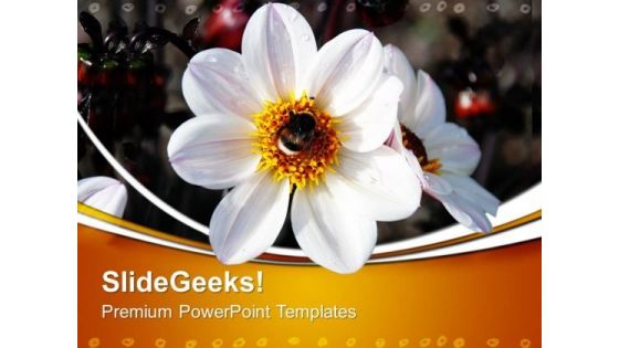 Flower Nature PowerPoint Templates And PowerPoint Themes 0512