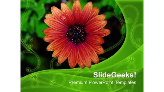 Flower With Dew Drops Nature PowerPoint Templates Ppt Backgrounds For Slides 0313 Flower With Dew Drops Nature PowerPoint Templates Ppt Backgrounds For Slides 0313