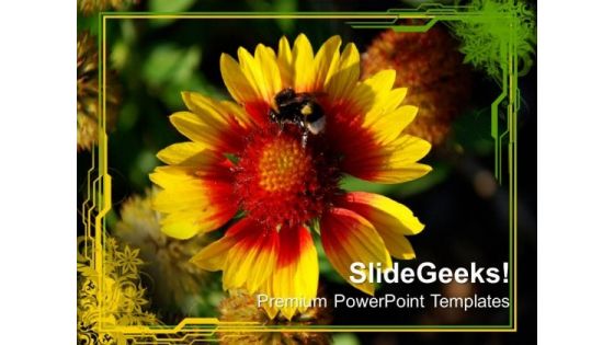 Flower With Honey Bee Nature PowerPoint Templates Ppt Backgrounds For Slides 0213 Flower With Honey Bee Nature PowerPoint Templates Ppt Backgrounds For Slides 0213