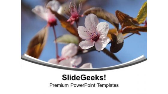 Flowers For Happiness Theme PowerPoint Templates Ppt Backgrounds For Slides 0513