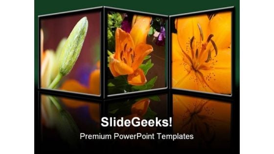 Flowers Nature PowerPoint Template 0610