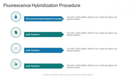 Fluorescence Hybridization Procedure In Powerpoint And Google Slides Cpb