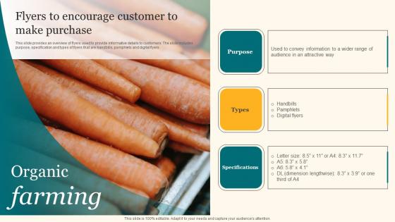 Flyers To Encourage Customer To Make Purchase Agricultural Product Promotion Rules Pdf