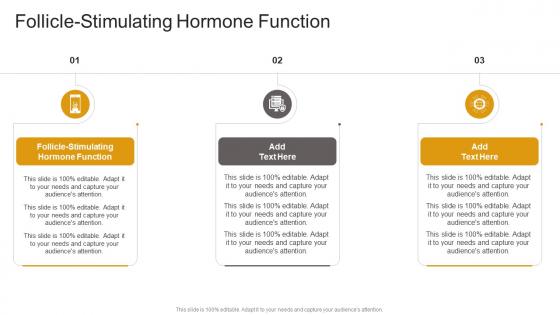 Follicle Stimulating Hormone Function In Powerpoint And Google Slides Cpb Follicle Stimulating Hormone Function In Powerpoint And Google Slides Cpb