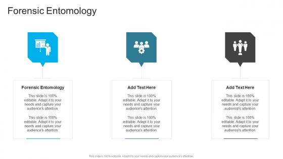 Forensic Entomology In Powerpoint And Google Slides Cpb