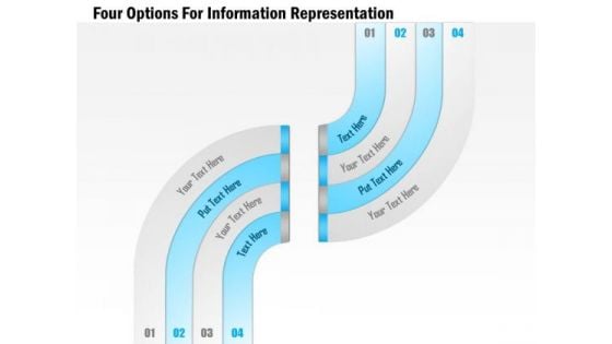 Four Options For Information Representation Presentation Template