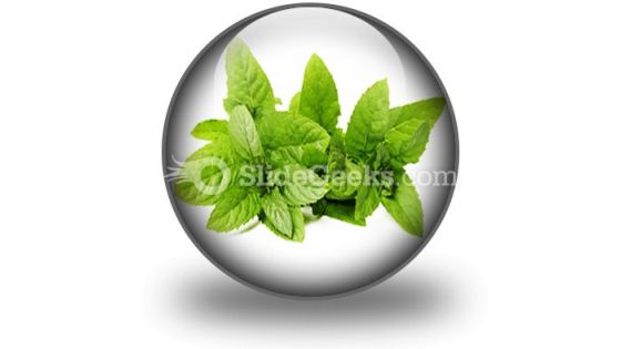 Fresh Green Mint Leaves PowerPoint Icon C