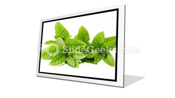Fresh Green Mint Leaves PowerPoint Icon F