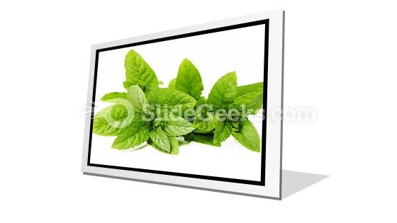 Fresh Green Mint Leaves PowerPoint Icon F Fresh Green Mint Leaves PowerPoint Icon F