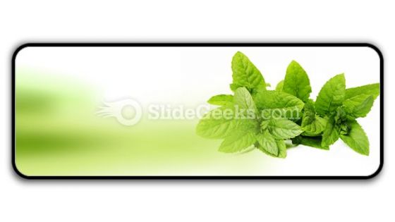 Fresh Green Mint Leaves PowerPoint Icon R