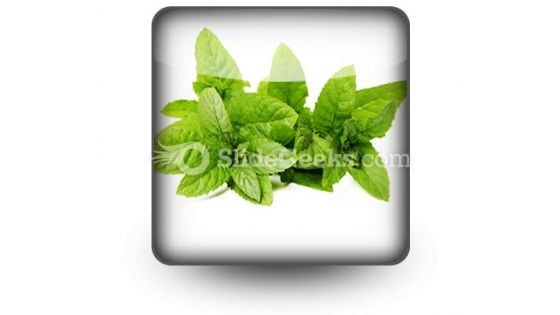 Fresh Green Mint Leaves PowerPoint Icon S