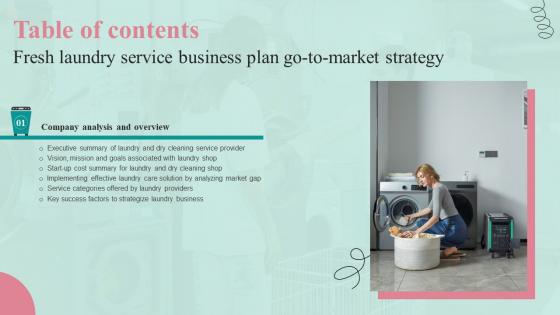 Fresh Laundry Service Business Plan Go To Market Strategy Table Of Content Inspiration Pdf