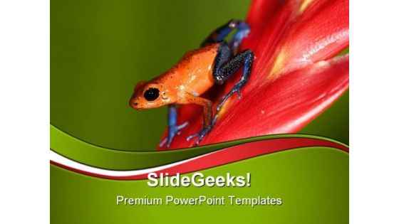 Frog Animals PowerPoint Themes And PowerPoint Slides 0811