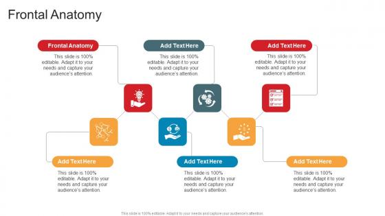 Frontal Anatomy In Powerpoint And Google Slides Cpb