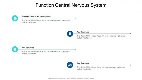 Function Central Nervous System In Powerpoint And Google Slides Cpb