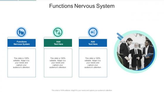 Functions Nervous System In Powerpoint And Google Slides Cpb