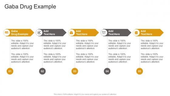Gaba Drug Example In Powerpoint And Google Slides Cpb