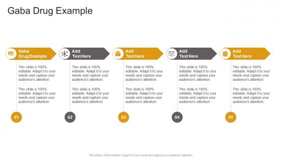 Gaba Drug Example In Powerpoint And Google Slides Cpb