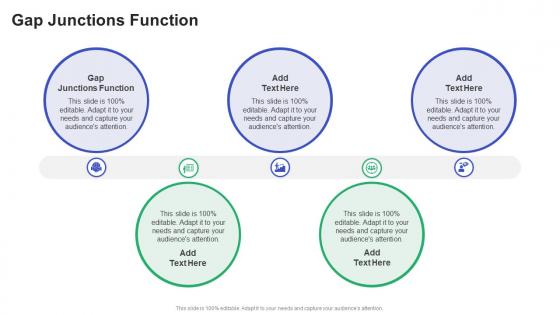 Gap Junctions Function In Powerpoint And Google Slides Cpb