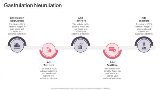 Gastrulation Neurulation In Powerpoint And Google Slides Cpb