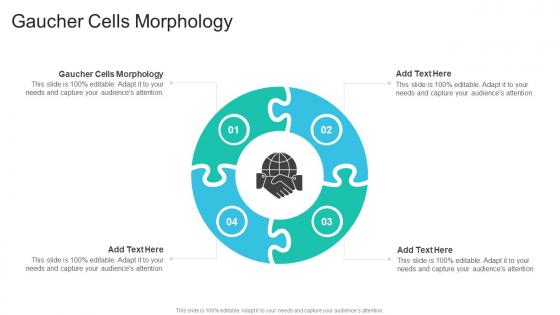 Gaucher Cells Morphology In Powerpoint And Google Slides Cpb